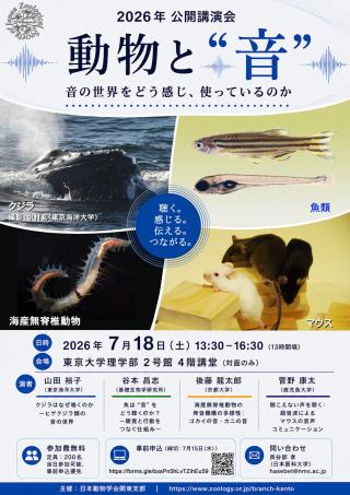 0802写真１「パンフレット」