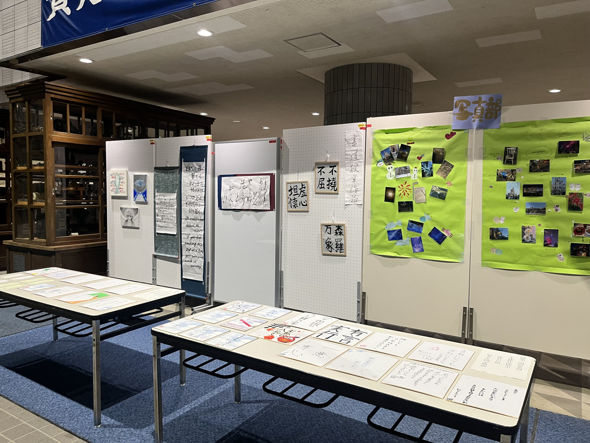 展示