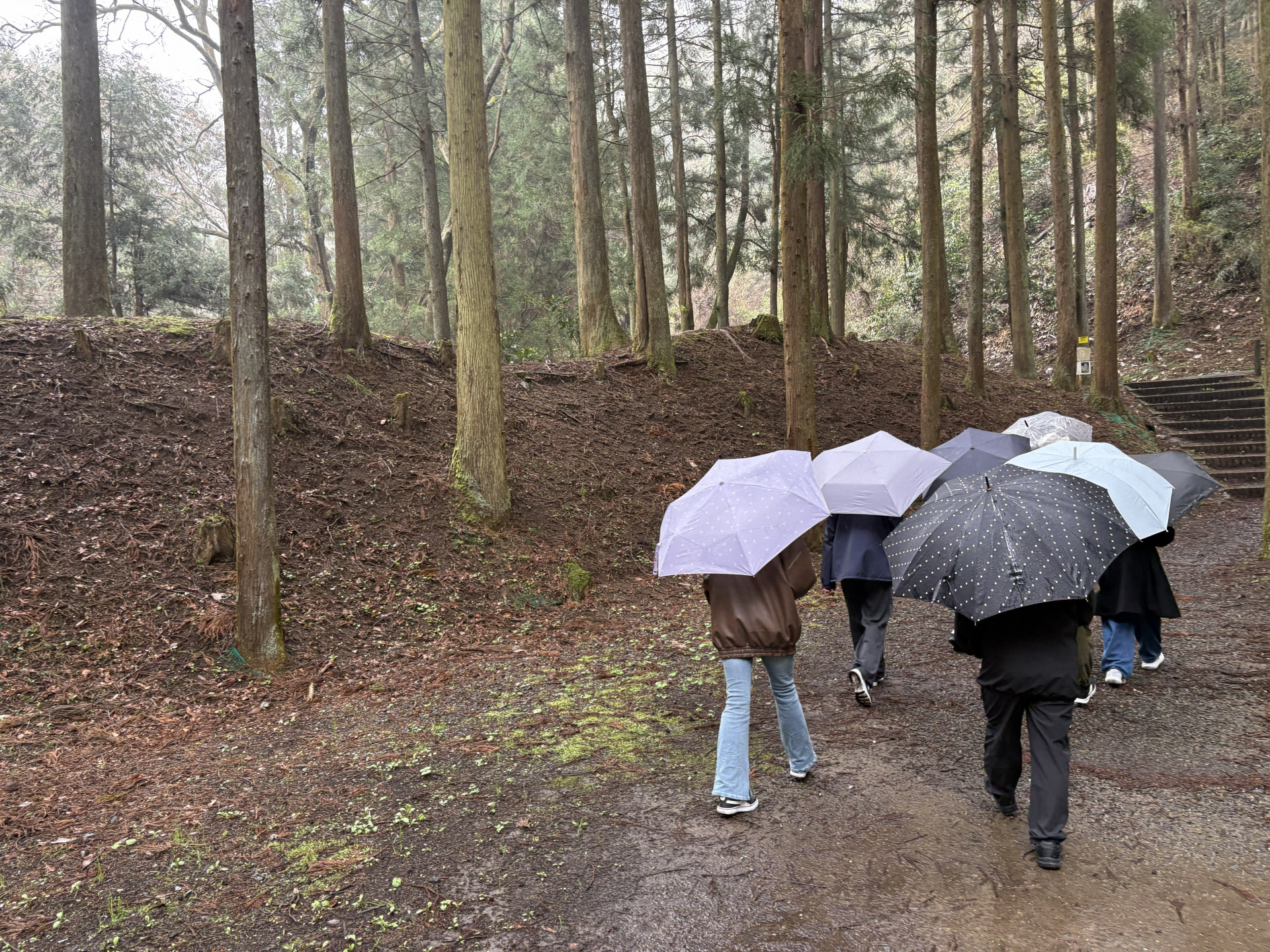 20260404_035241340_iOS