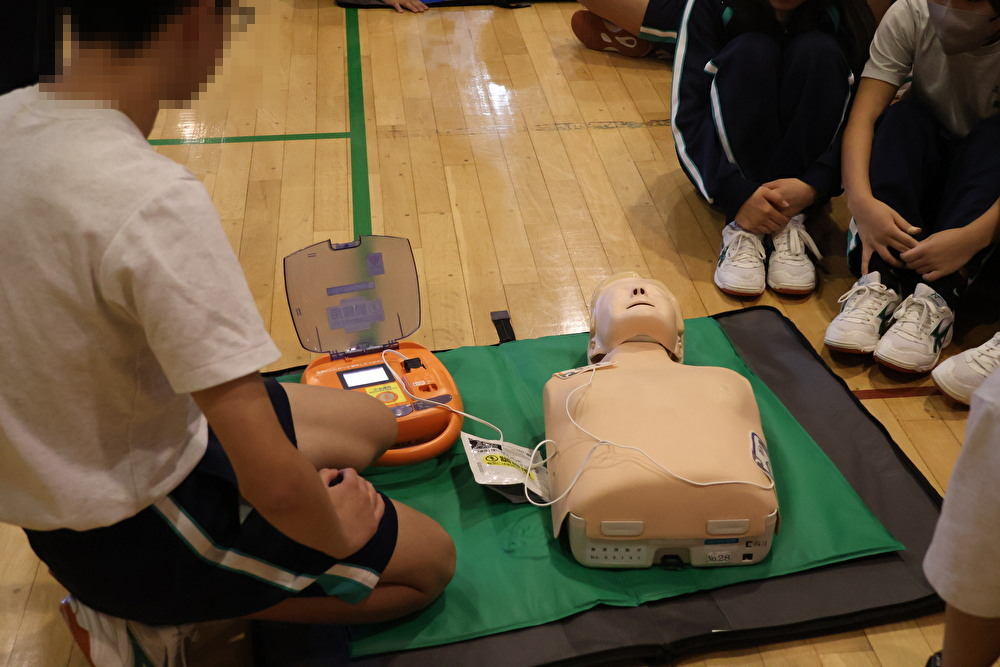 qv9aPInCPegdvSl1762317140_1762317157