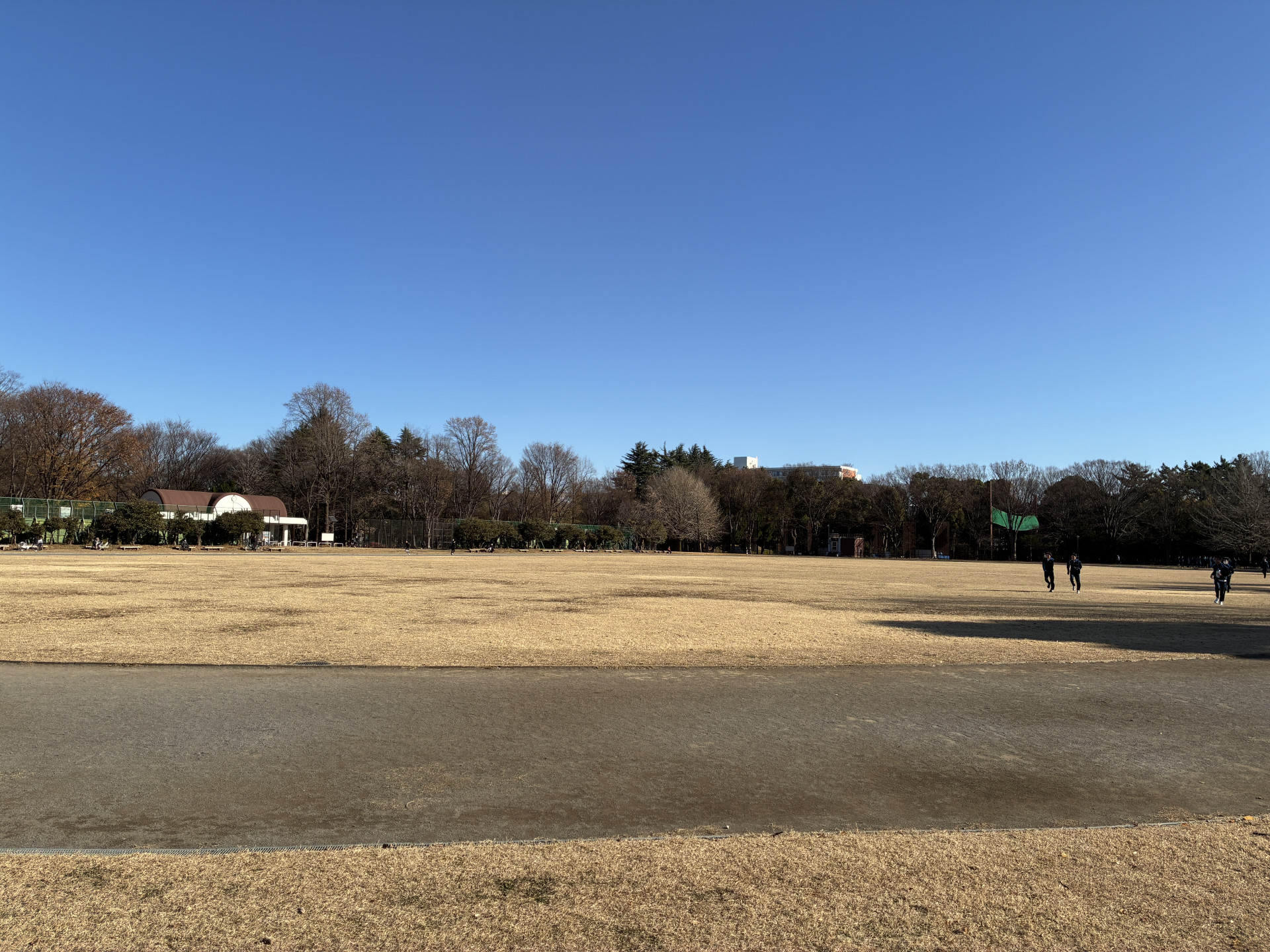 20251212_004909449_iOS