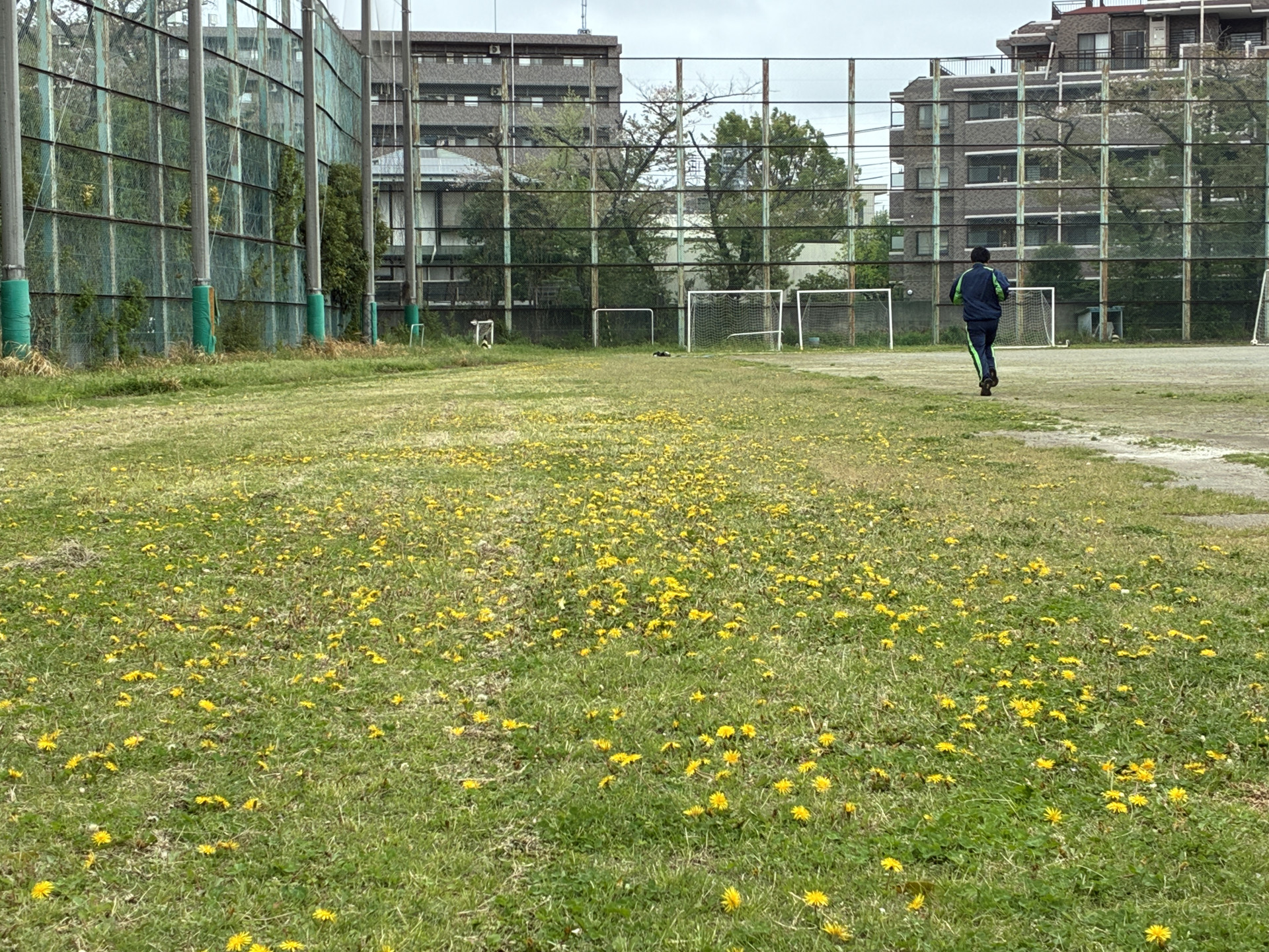 20260410_060232131_iOS