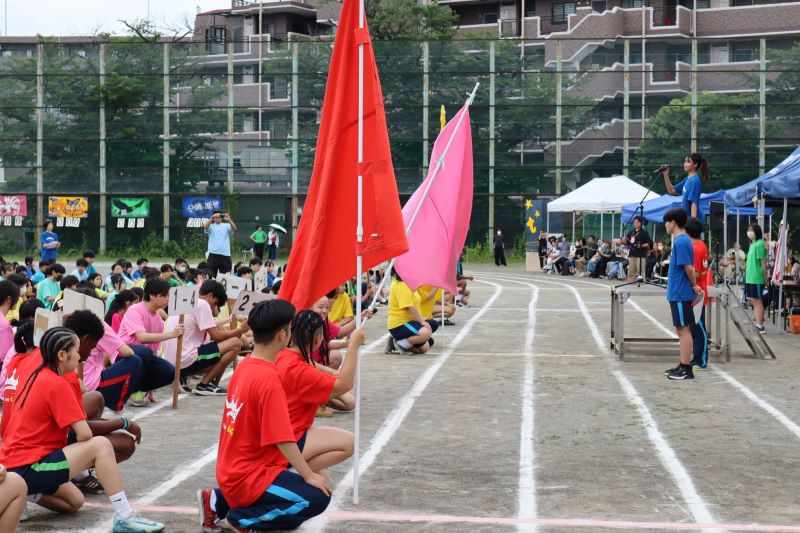 20260605_tf_1.JPG