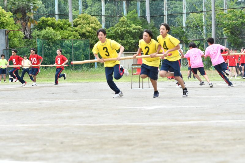 20260605_tf_3.JPG