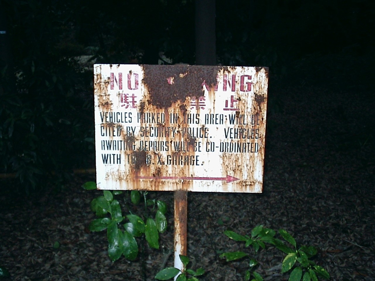 ５