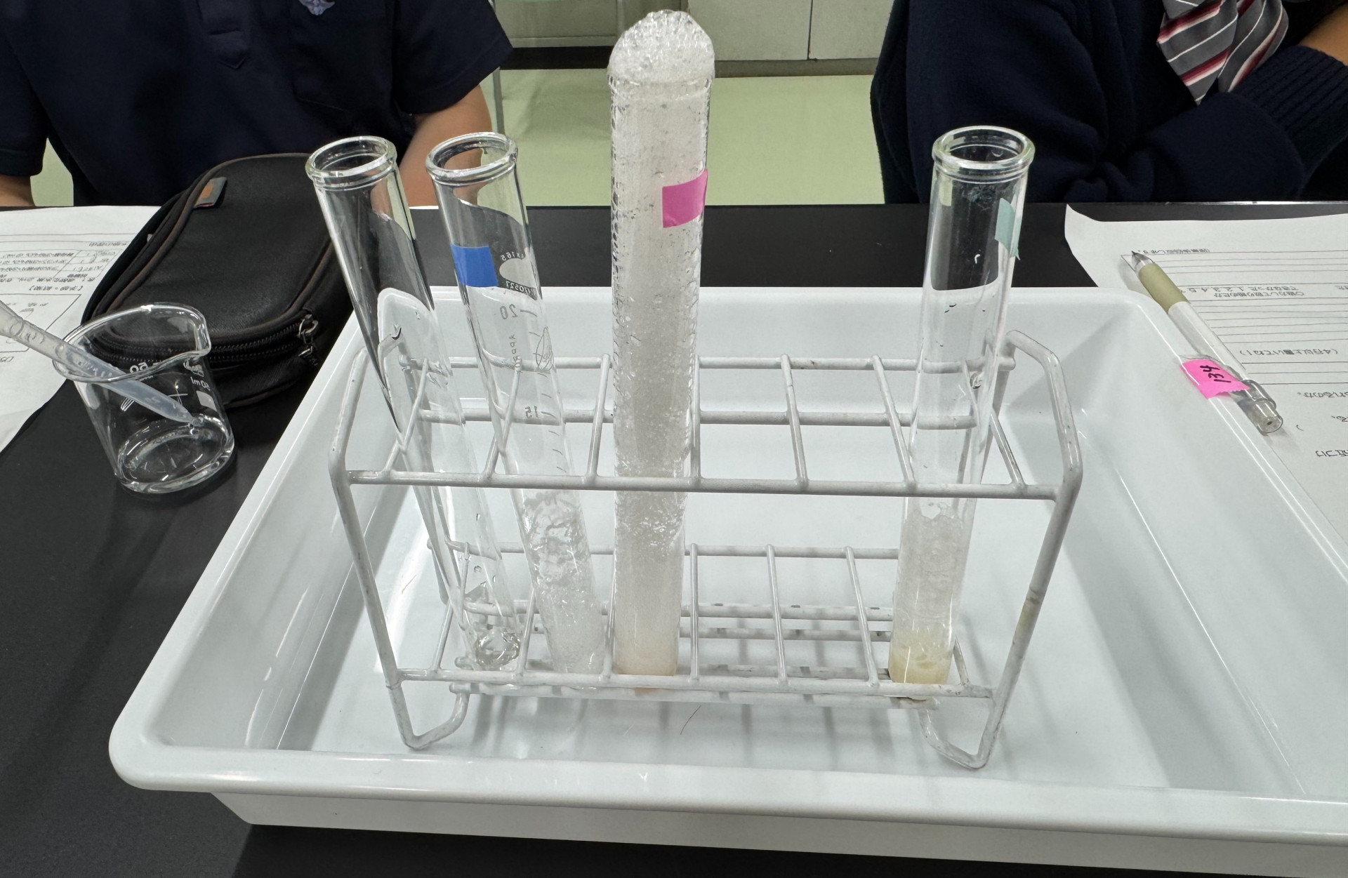 生物実験③