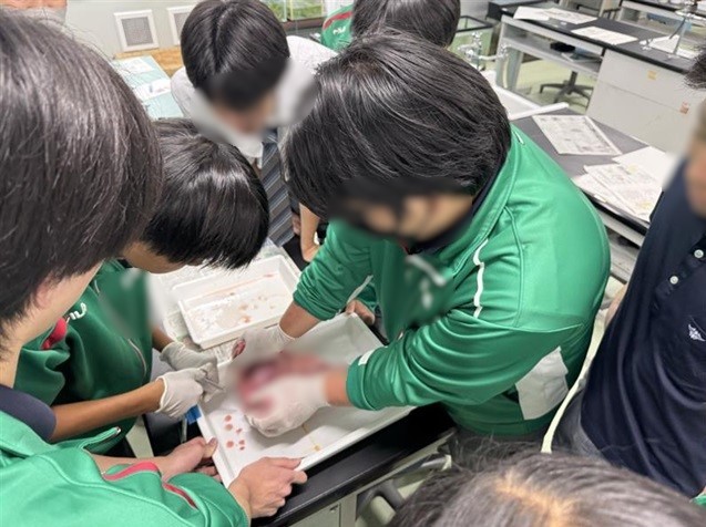 解剖写真