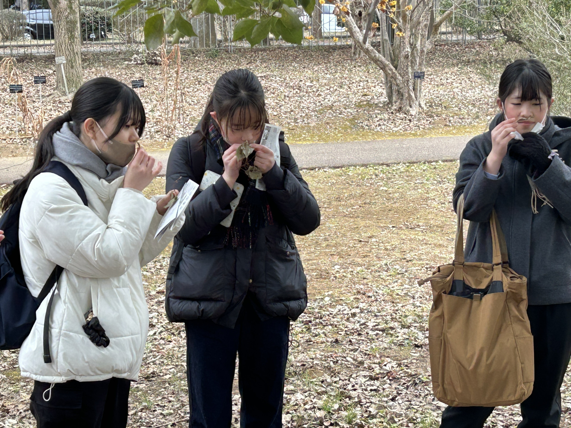 つくば実験植物園