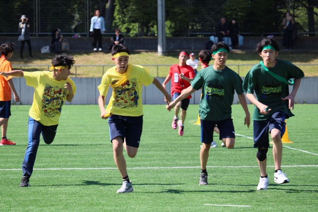 IMG_6334.JPG