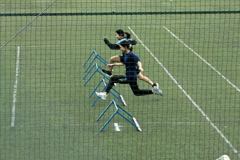 体育