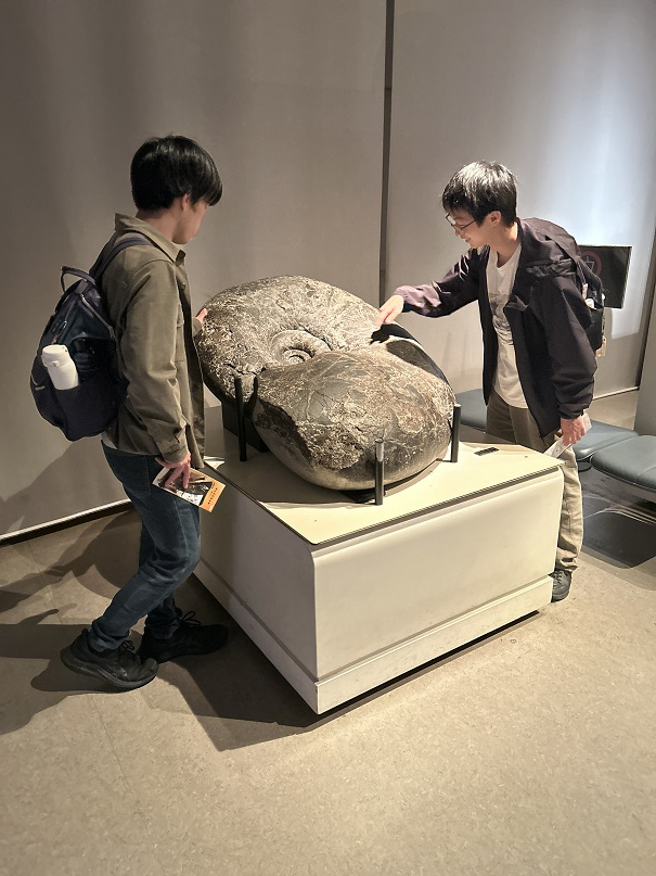 巨大アンモナイト1.JPG