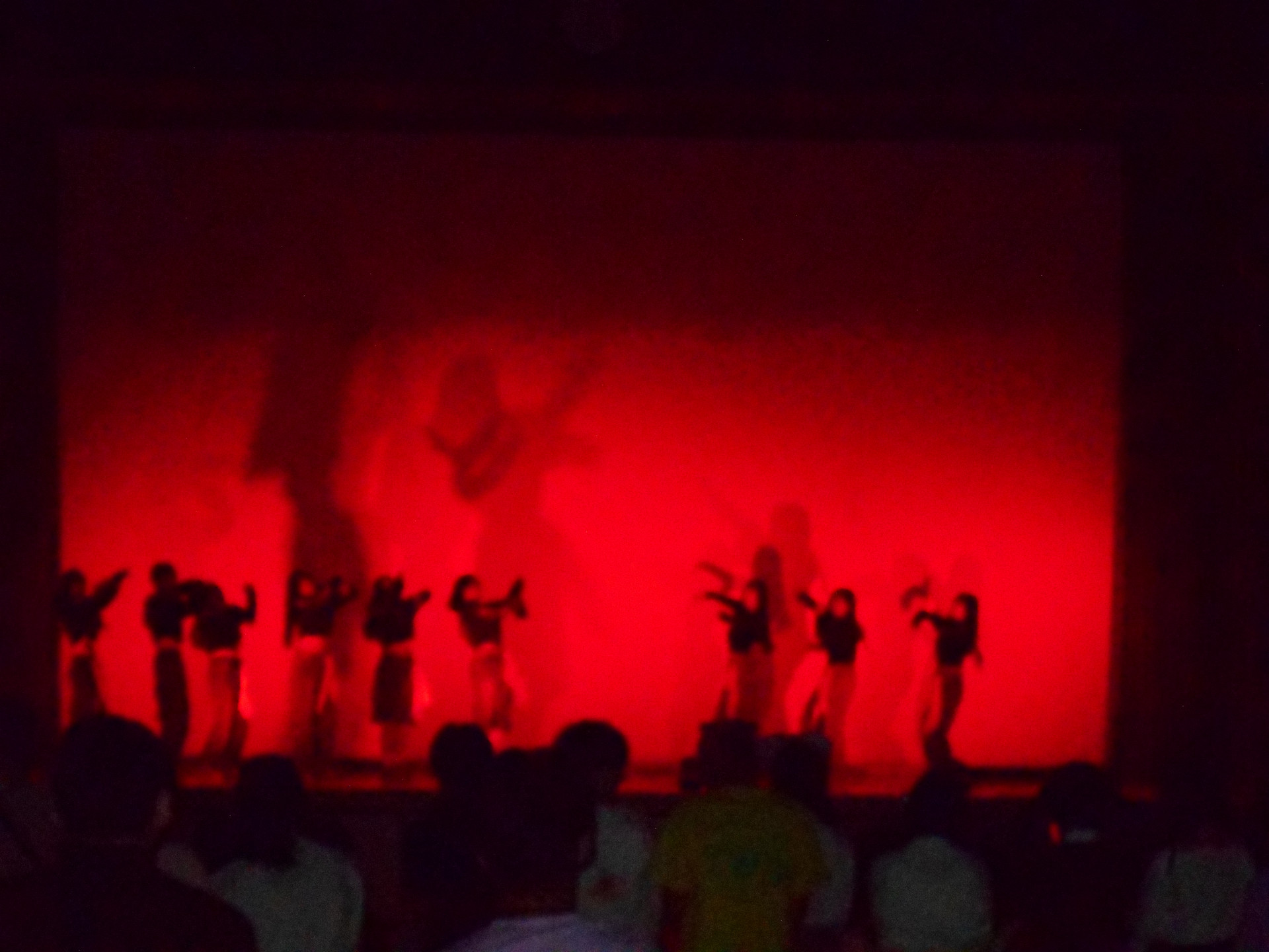 DSCN0648.JPG