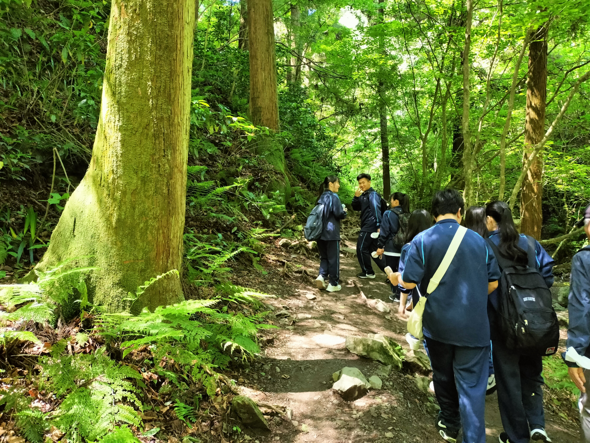 高尾山１