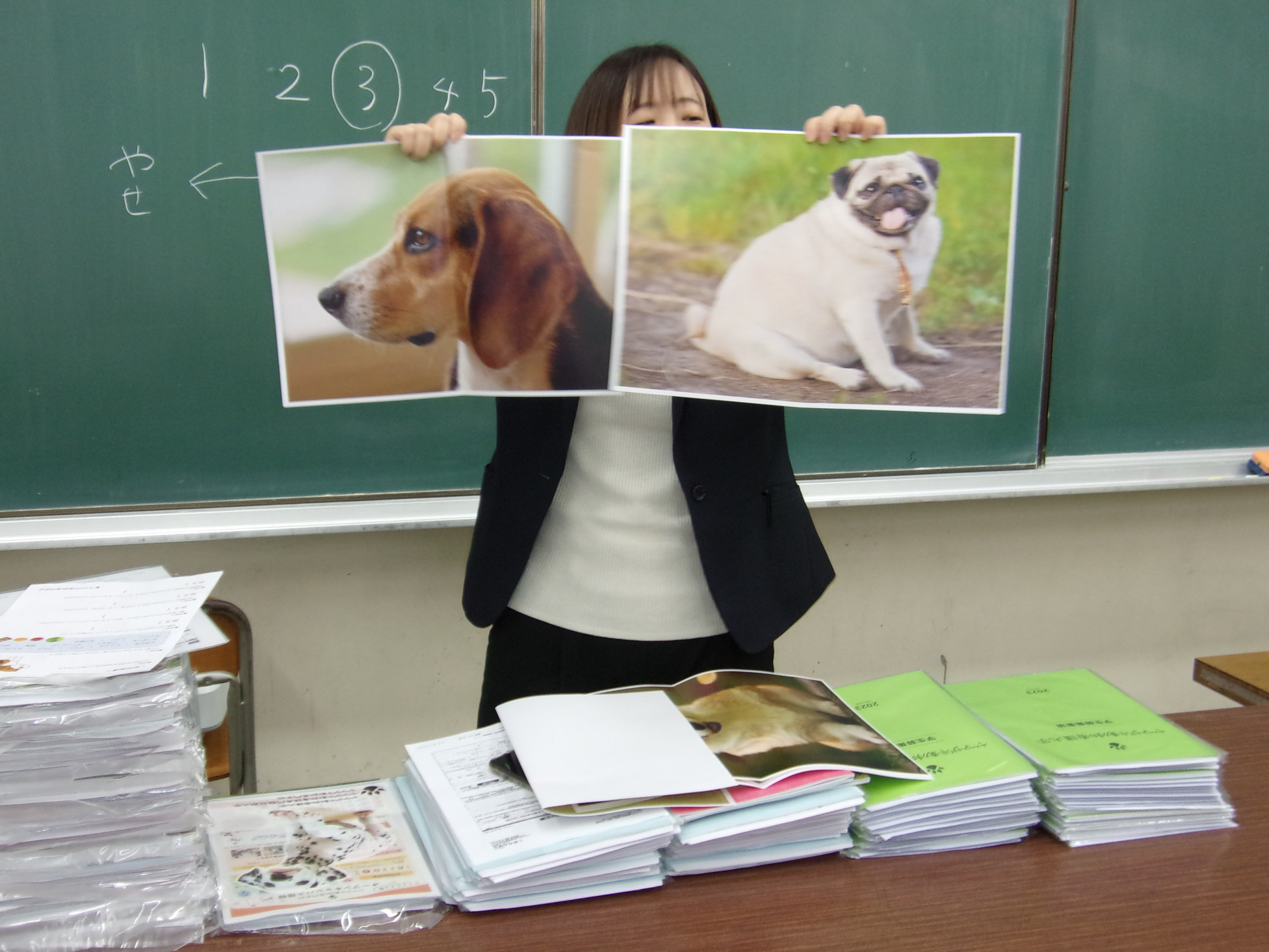 ヤマザキ動物専門学校