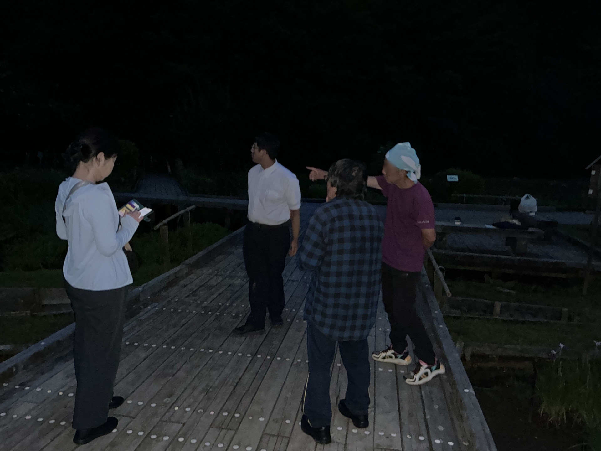 Image_1