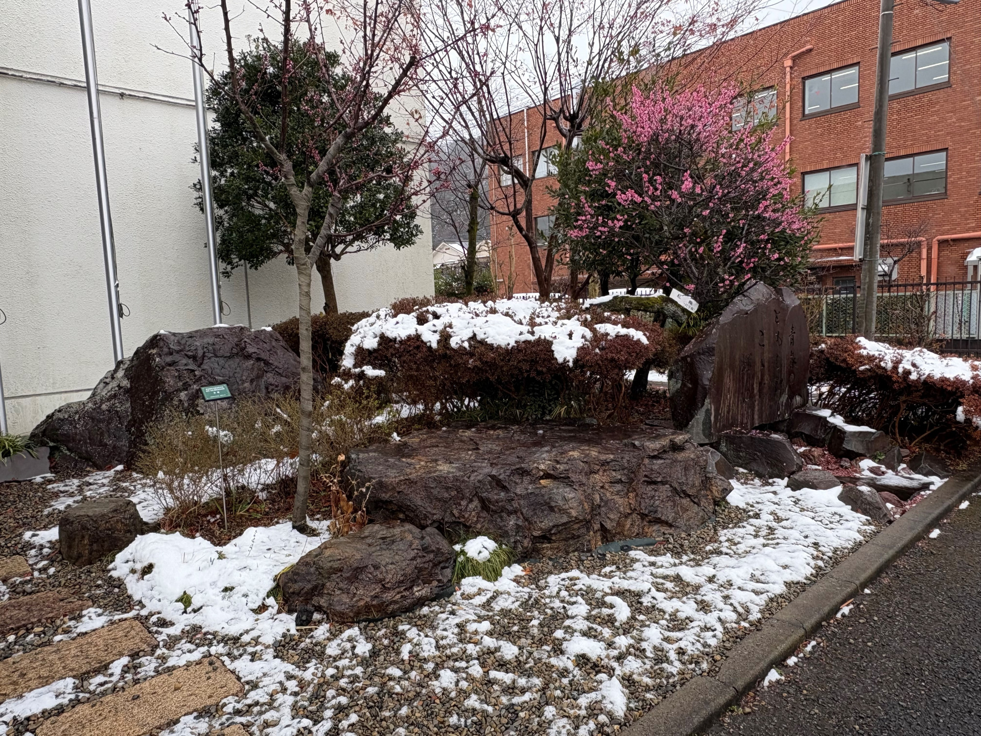 雪
