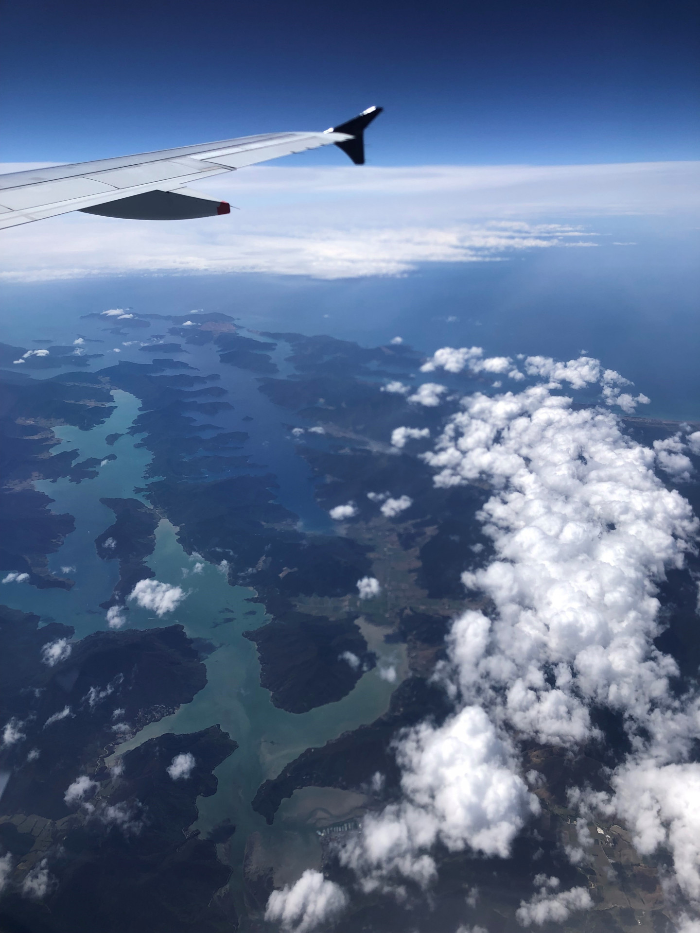 飛行機