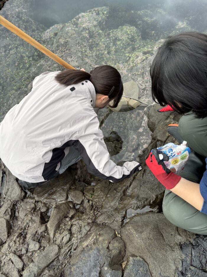 640453eb-442a-45d8-8601-b6dead5483f1