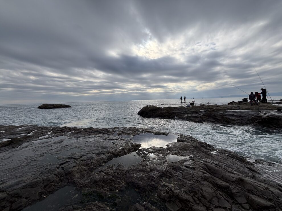 844d4e01-119a-40d6-b600-a596915bcc6e