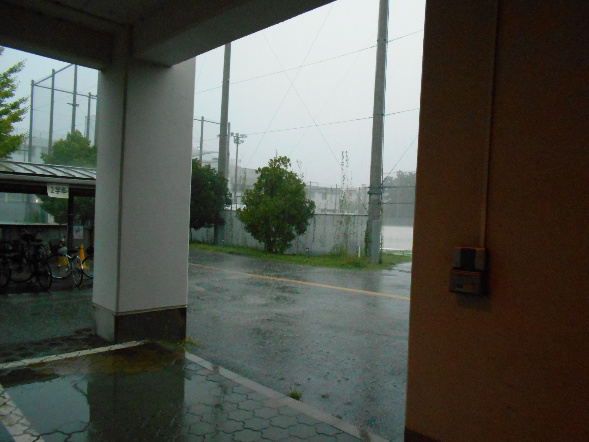 DSCN0153.JPG