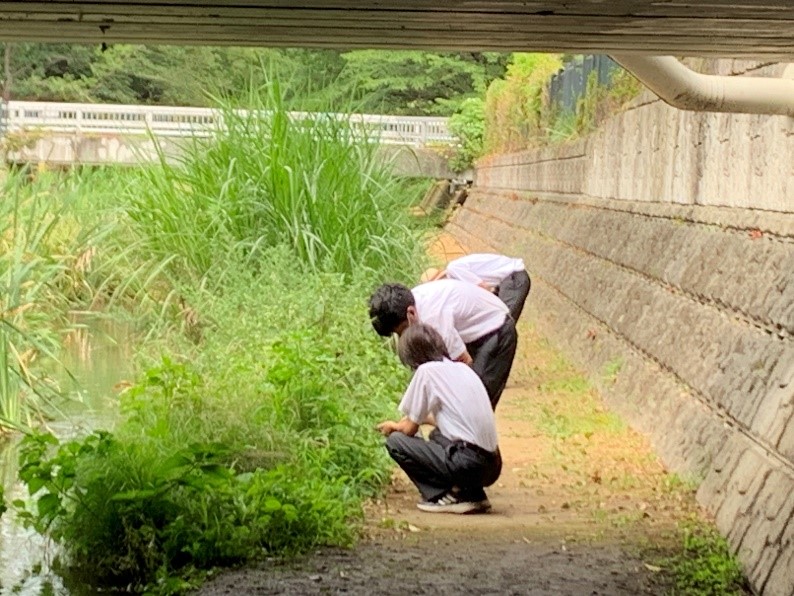 R05野川調査03