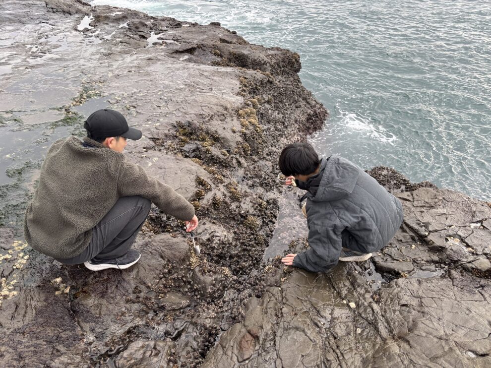 e1cae51d-3973-49f2-ba6c-667eb92f5481