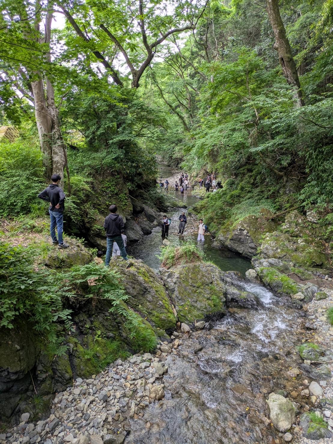 滝つぼ