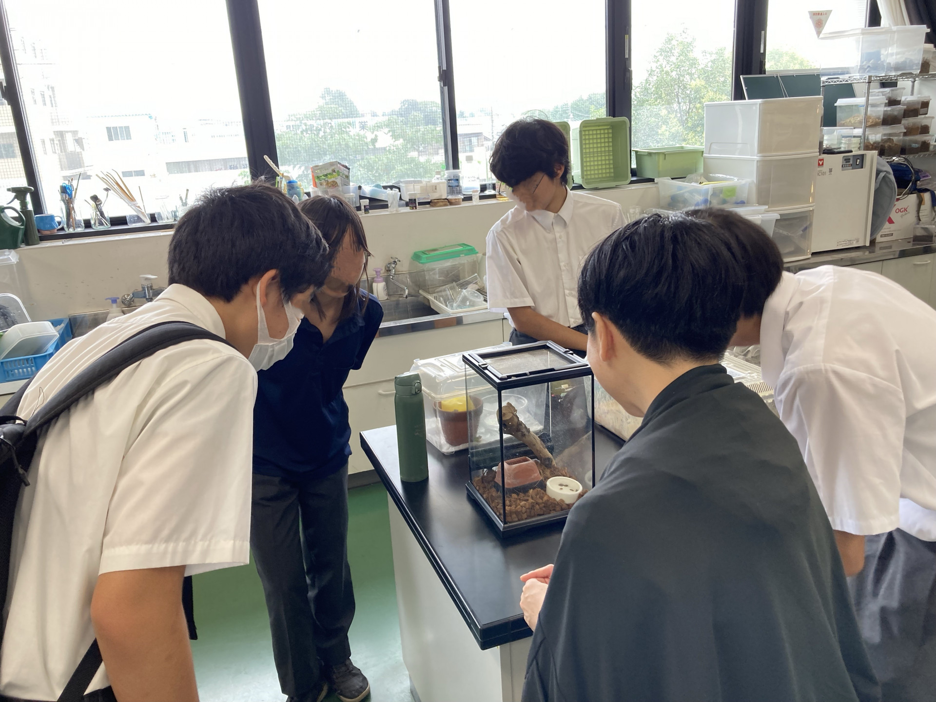 生物班O