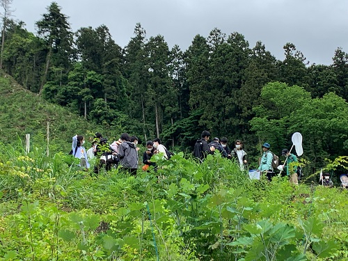 裏高尾虫屋採集