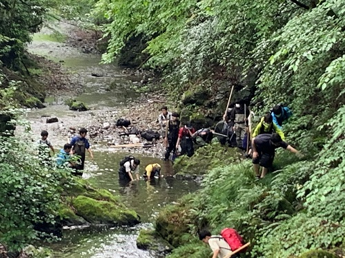 裏高尾魚屋採集
