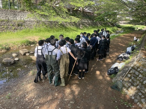 野川調査全体