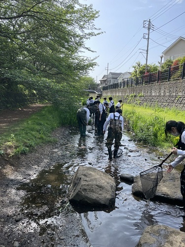 野川調査魚屋３