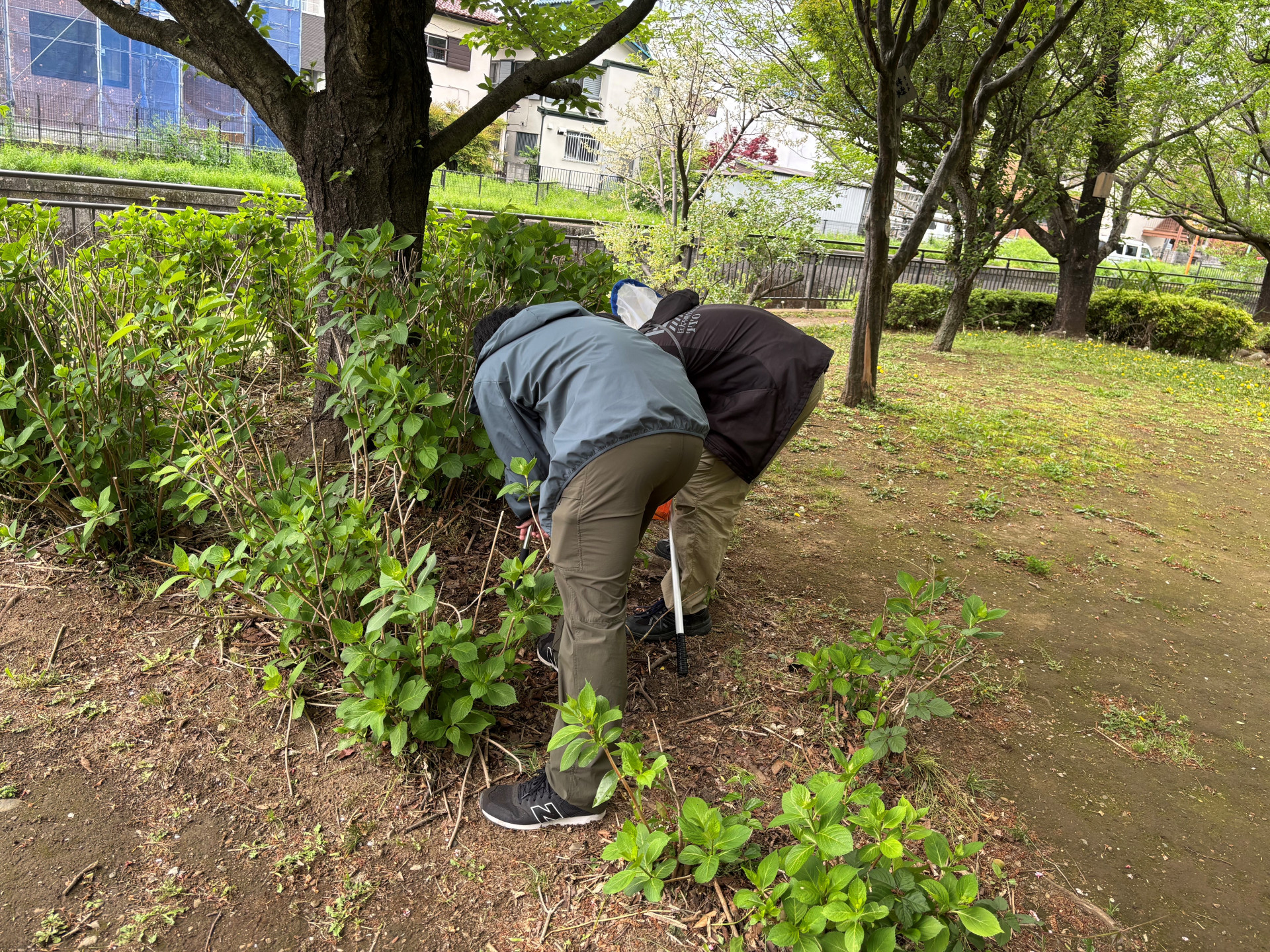 ４．２６