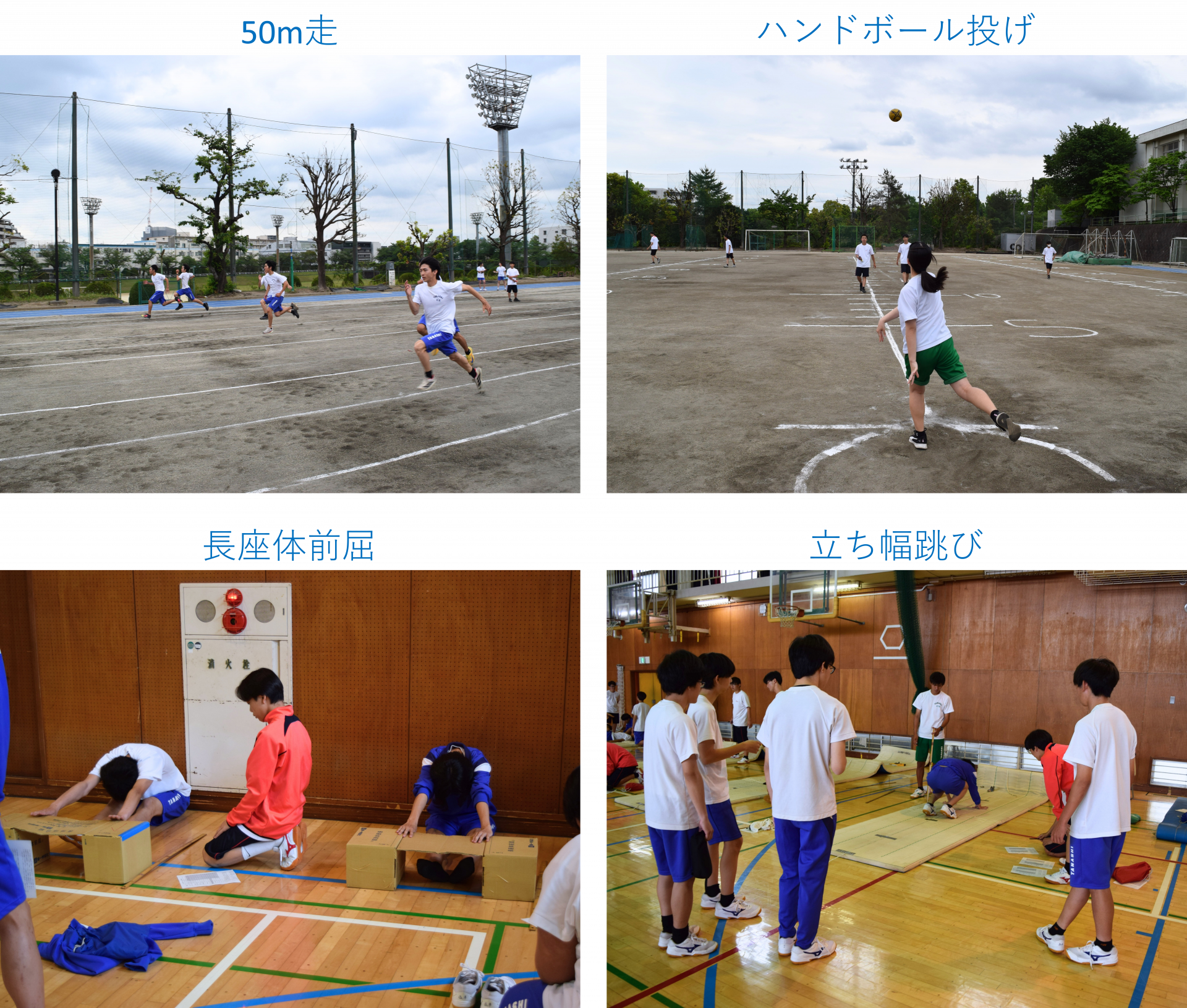 画像3