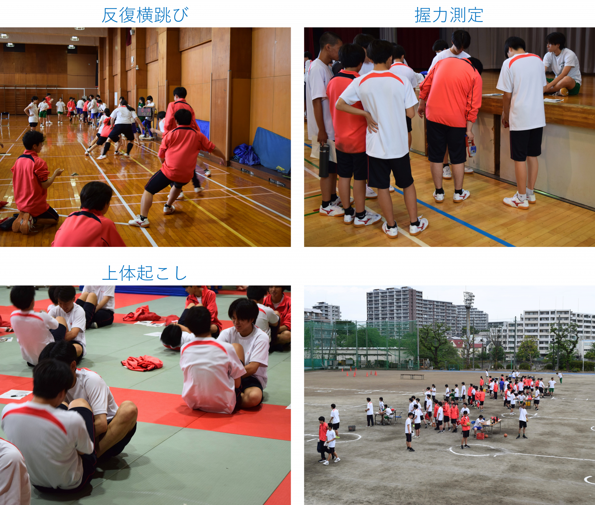 画像7