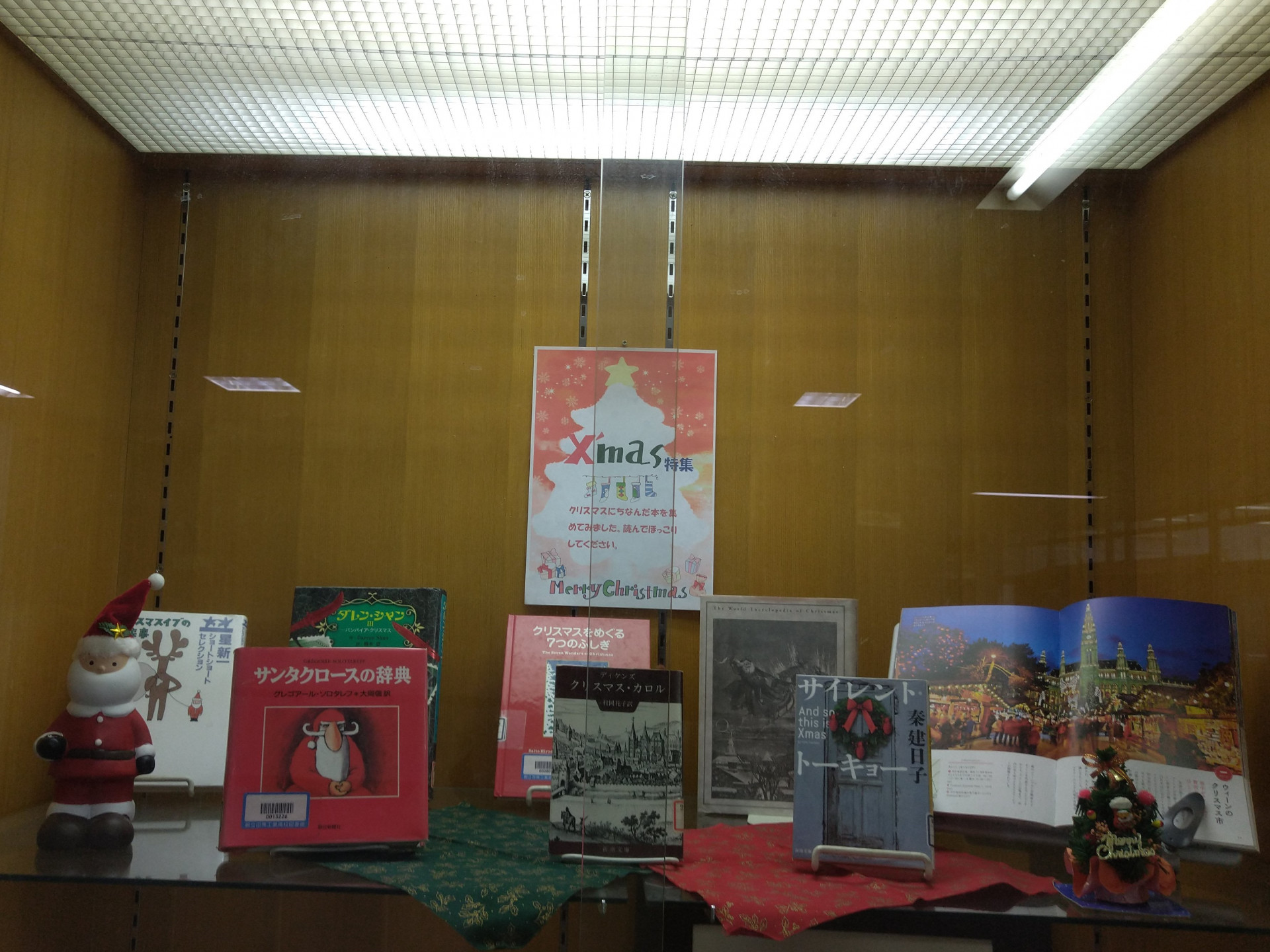 IMG_20241128_135843
