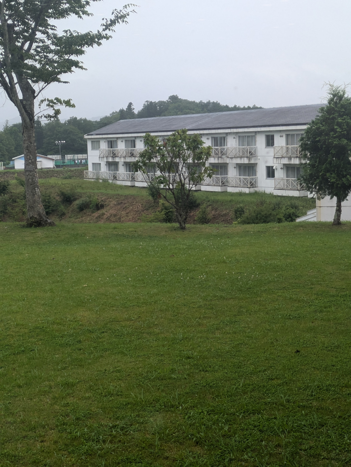 PXL_20240730_223513512
