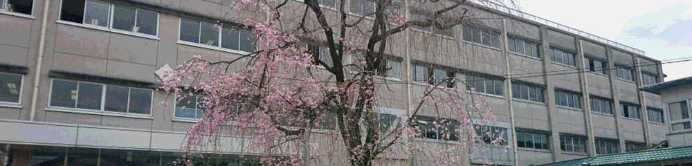 桜の写真