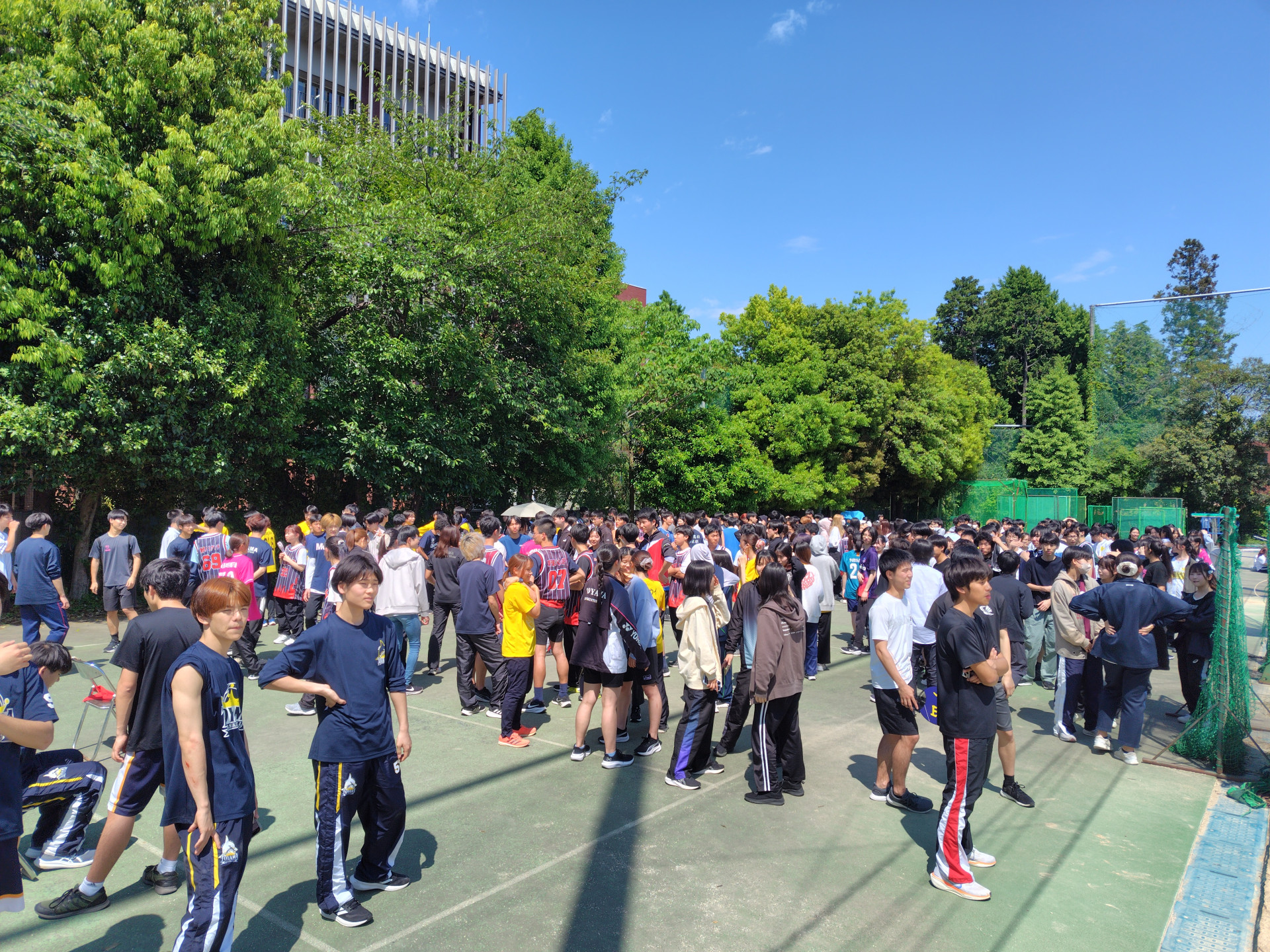 250508133141319.JPG