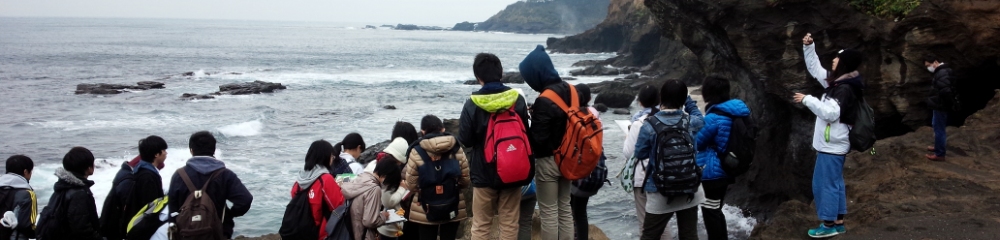 地学城ヶ島巡検の写真