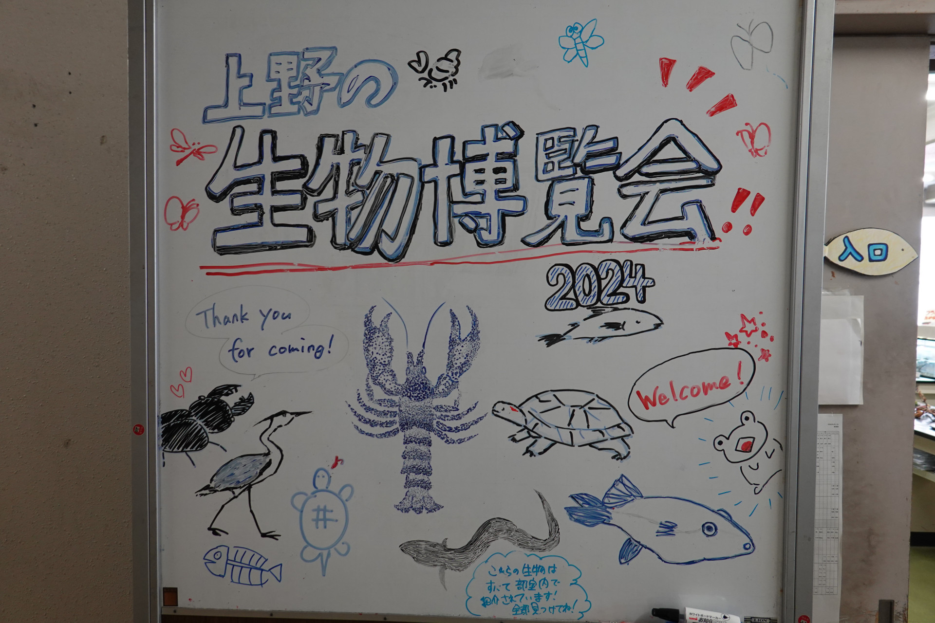 DSC06553.JPG