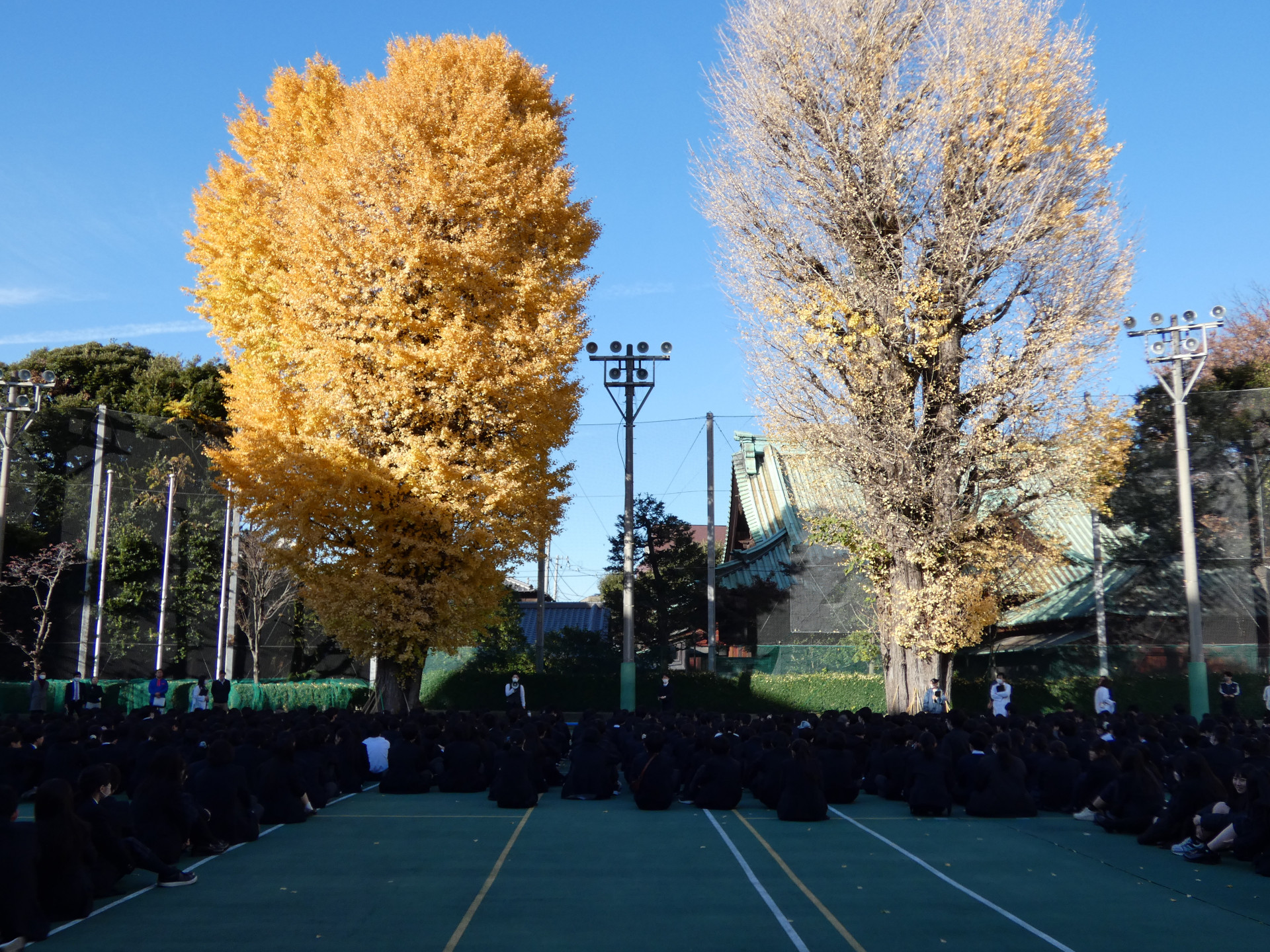 P1000245.JPG