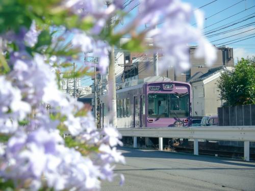 3701 青木