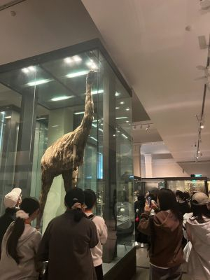 博物館２タテ