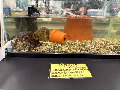 生物部４