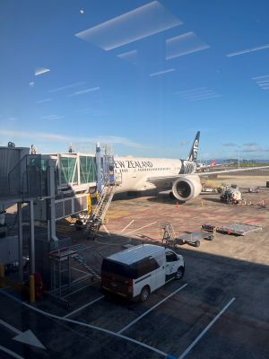 飛行機の外観