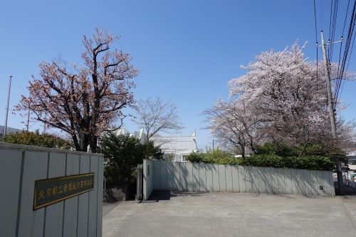 R7spring-1