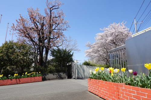 R7spring-2