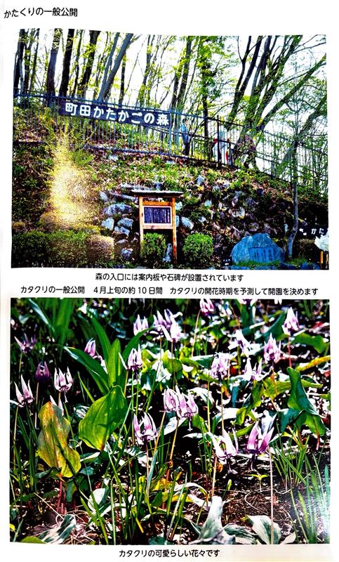 記事に載せる写真1_10周年記念誌1_町田かたかごの森の紹介