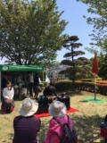 茶道部29042903